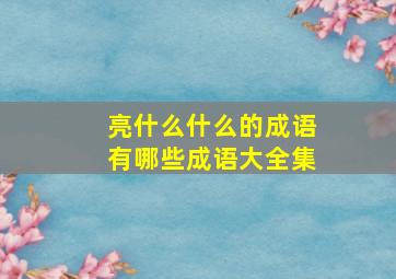 亮什么什么的成语有哪些成语大全集