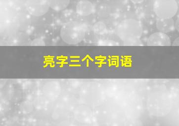 亮字三个字词语