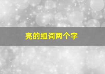 亮的组词两个字