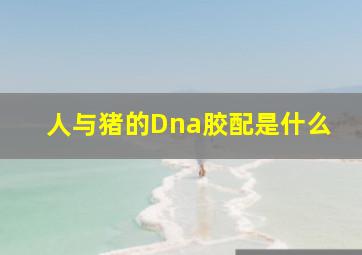 人与猪的Dna胶配是什么