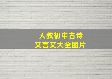 人教初中古诗文言文大全图片