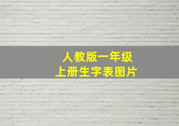 人教版一年级上册生字表图片