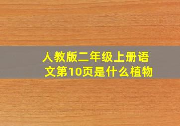 人教版二年级上册语文第10页是什么植物