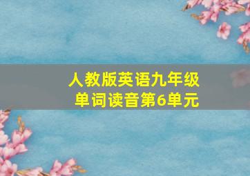 人教版英语九年级单词读音第6单元