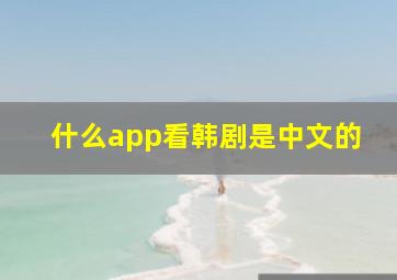 什么app看韩剧是中文的