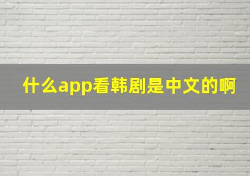 什么app看韩剧是中文的啊