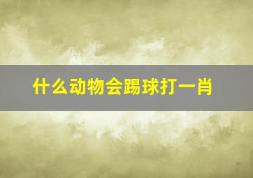 什么动物会踢球打一肖