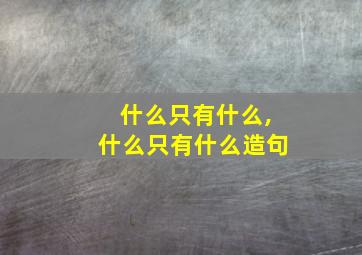 什么只有什么,什么只有什么造句