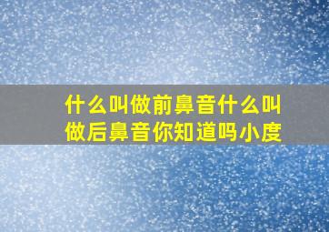 什么叫做前鼻音什么叫做后鼻音你知道吗小度