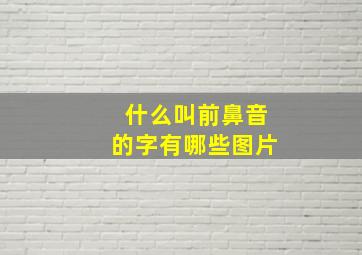 什么叫前鼻音的字有哪些图片