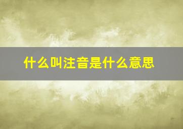 什么叫注音是什么意思