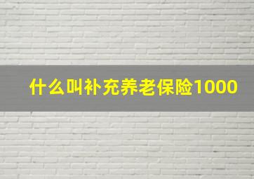 什么叫补充养老保险1000