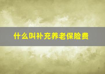 什么叫补充养老保险费