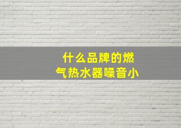 什么品牌的燃气热水器噪音小