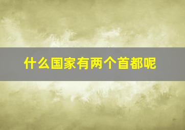 什么国家有两个首都呢