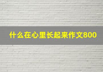 什么在心里长起来作文800