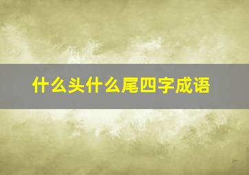 什么头什么尾四字成语