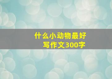 什么小动物最好写作文300字