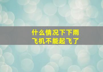 什么情况下下雨飞机不能起飞了