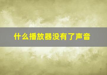 什么播放器没有了声音