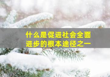 什么是促进社会全面进步的根本途径之一