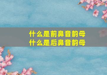 什么是前鼻音韵母什么是后鼻音韵母