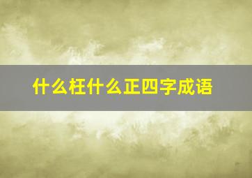 什么枉什么正四字成语