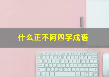 什么正不阿四字成语