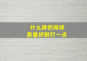 什么牌的网球质量好耐打一点