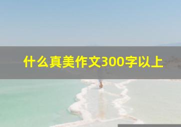 什么真美作文300字以上