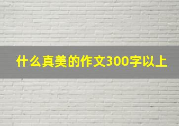 什么真美的作文300字以上