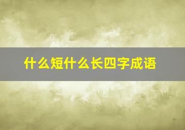 什么短什么长四字成语