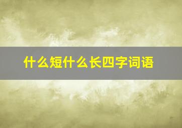 什么短什么长四字词语