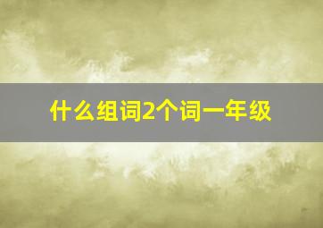 什么组词2个词一年级