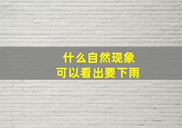 什么自然现象可以看出要下雨