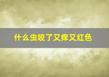 什么虫咬了又痒又红色