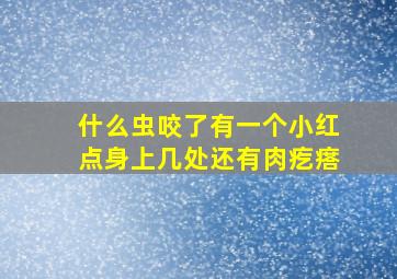 什么虫咬了有一个小红点身上几处还有肉疙瘩