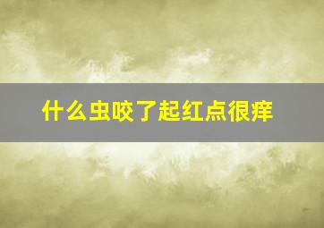 什么虫咬了起红点很痒