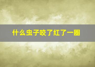 什么虫子咬了红了一圈