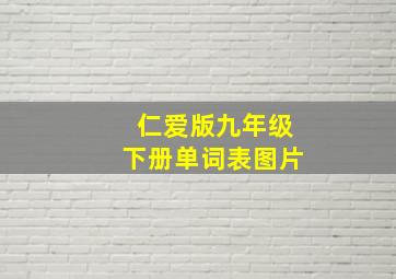 仁爱版九年级下册单词表图片