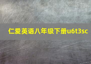 仁爱英语八年级下册u6t3sc