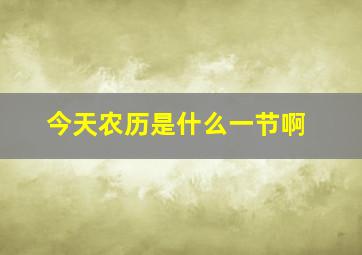 今天农历是什么一节啊