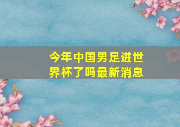 今年中国男足进世界杯了吗最新消息