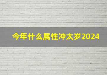 今年什么属性冲太岁2024