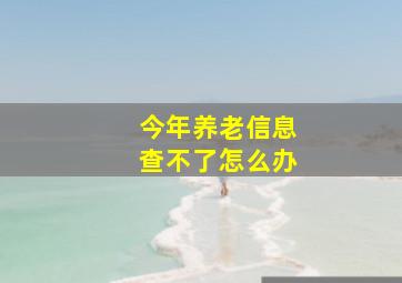 今年养老信息查不了怎么办