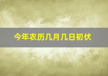 今年农历几月几日初伏