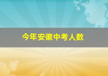 今年安徽中考人数