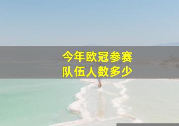 今年欧冠参赛队伍人数多少