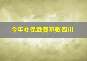 今年社保缴费基数四川