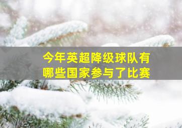 今年英超降级球队有哪些国家参与了比赛